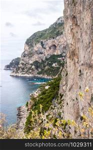 Top view of the Isle of Capri in Italy. Island of Capri in Italy