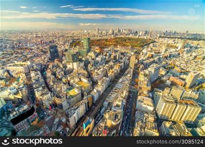 Top view of Tokyo city skyline (Shinjuku and Shibuya) area at sunset in Japan.