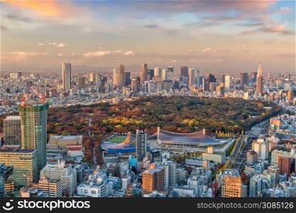 Top view of Tokyo city skyline (Shinjuku area) at sunset in Japan.