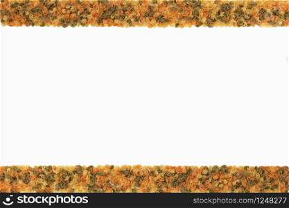 Top view of top and bottom lines made of assorted pasta with empty space in between. Design concept.. Horizontal lines made of assorted pasta with blank space