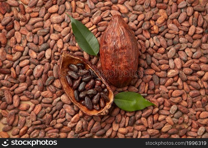 Top view of tropical fruit of Theobroma cacao tree filed with peeled organic cocoa beans. Pod of raw organic beans