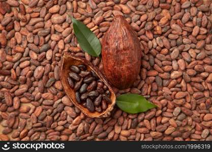Top view of tropical fruit of Theobroma cacao tree filed with peeled organic cocoa beans. Pod of raw organic beans
