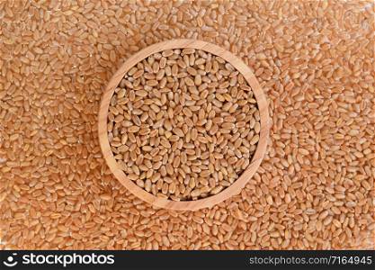Top view of wheat grain background