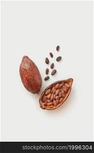 Top view of whole and halved cocoa pod filled with unpeeled cocoa beans on white background. Raw cocoa beans in pod