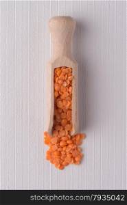 Top view of wooden scoop with peeled lentils against white vinyl background.