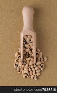 Top view of wooden scoop with white beans against brown vinyl background.