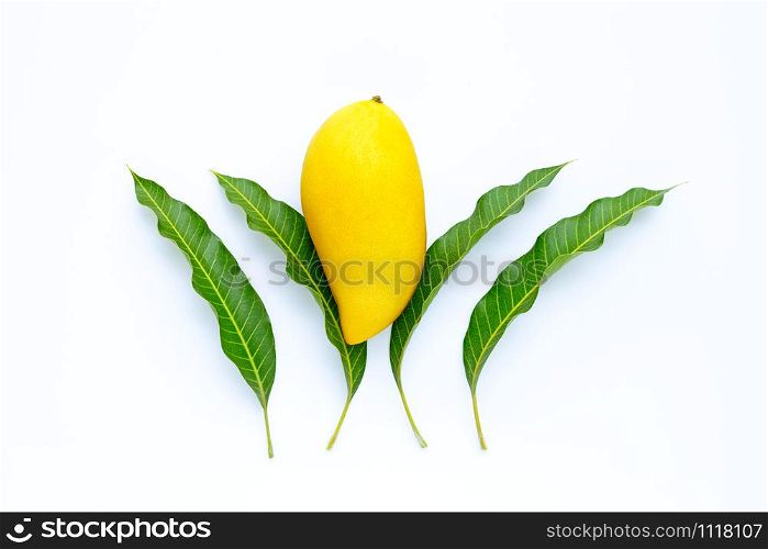 Top view of yellow mango with leaves on white, Tropical fruit juicy and sweet.