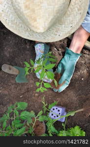 top view on a woman wearing a straw hat planting vegetable in garden