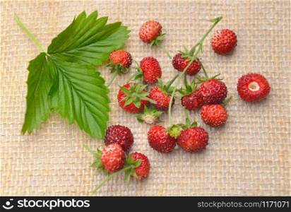 top view on fresh wild strawberrie on natural fabric background