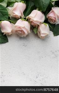 Top view on pink roses on a grey concrete background. The concept of spring and Valentines day, flat lay.
