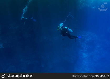 Top view on scuba divers group swimming who exploring deep dark ocean blue water against the backdrop of a coral reef. Male and female in flippers examines the seabed. Air bubbles. Active life. Dive.. Top view on scuba divers group swimming who exploring deep dark ocean blue water against the backdrop of a coral reef. Male and female in flippers examines the seabed. Dive. Active life. Air bubbles.