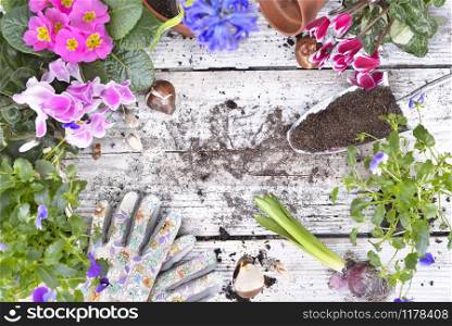top view on springtime flowers potted and a shovel filled with soil put on a garden table