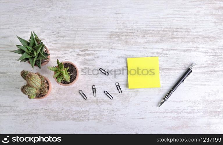 top view on yellow paper next to a pen and paper clip with cactus potted