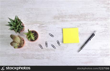 top view on yellow paper next to a pen and paper clip with cactus potted