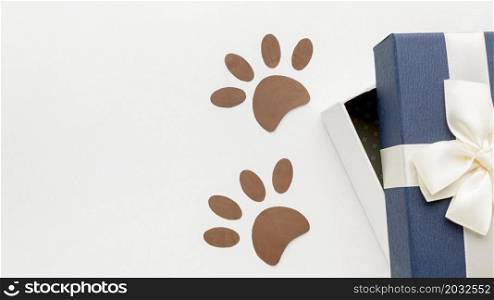 top view paw prints with gift animal day