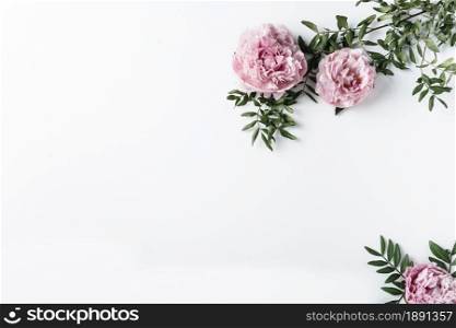 top view pink carnations. Resolution and high quality beautiful photo. top view pink carnations. High quality and resolution beautiful photo concept