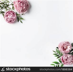 top view pink carnations. Resolution and high quality beautiful photo. top view pink carnations. High quality beautiful photo concept