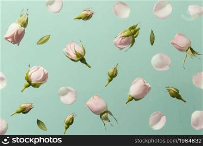 top view pink spring roses. High resolution photo. top view pink spring roses. High quality photo