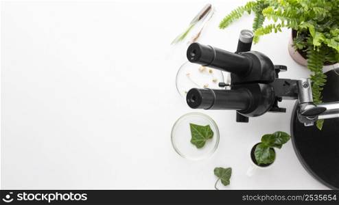 top view plants microscope frame 2
