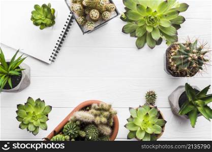 top view plants wooden surface