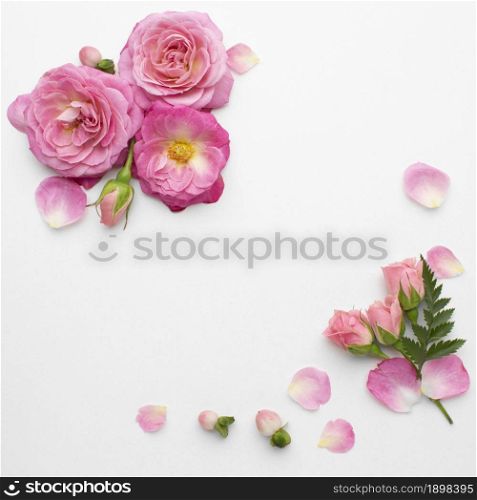 top view roses flowers. Resolution and high quality beautiful photo. top view roses flowers. High quality beautiful photo concept
