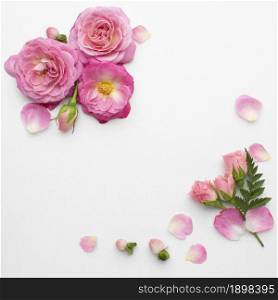 top view roses flowers. Resolution and high quality beautiful photo. top view roses flowers. High quality beautiful photo concept