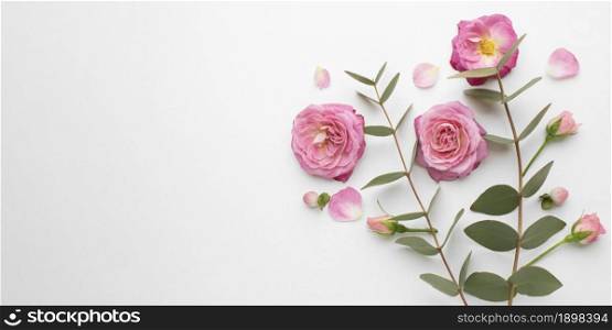 top view roses flowers with copy space. Resolution and high quality beautiful photo. top view roses flowers with copy space. High quality beautiful photo concept