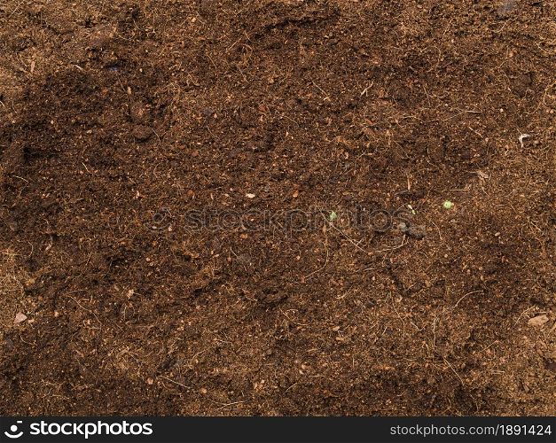 top view soil. Resolution and high quality beautiful photo. top view soil. High quality and resolution beautiful photo concept