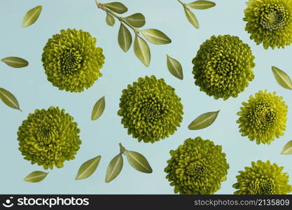 top view spring flowers with leaves