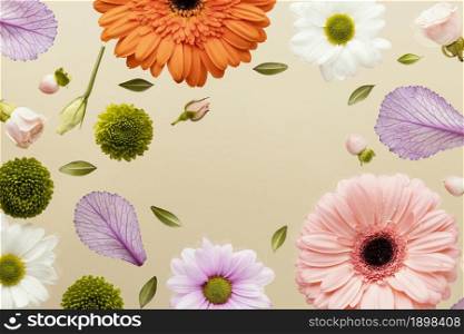 top view spring gerbera flowers with daisies leaves. Resolution and high quality beautiful photo. top view spring gerbera flowers with daisies leaves. High quality beautiful photo concept