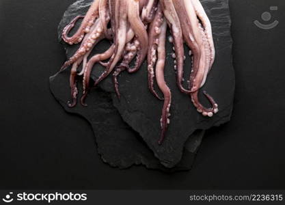 top view squid slate