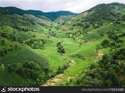 Top view Terraced rice field at Chiangmai Northern Thailand