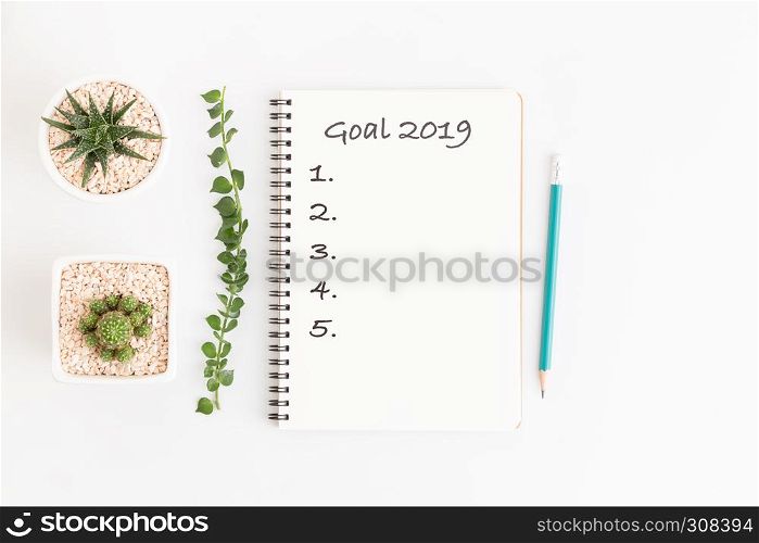 Top view text 2019 goals on white notebook with cactus on white background, flat lay photo and copy space