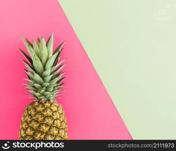 top view tropical ripe pineapple