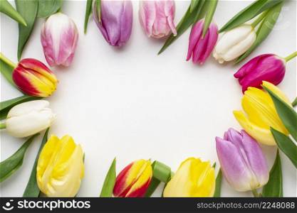 top view tulips flowers frame