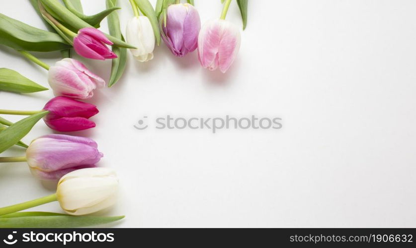 top view tulips flowers with copy space. High resolution photo. top view tulips flowers with copy space. High quality photo