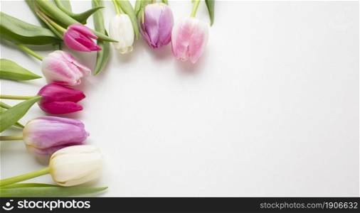 top view tulips flowers with copy space. High resolution photo. top view tulips flowers with copy space. High quality photo
