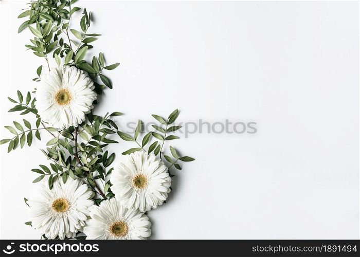 top view white daisies. Resolution and high quality beautiful photo. top view white daisies. High quality and resolution beautiful photo concept