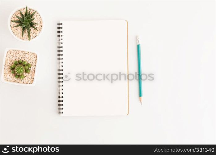 Top view white notebook with cactus on white background, flat lay photo and copy space for design