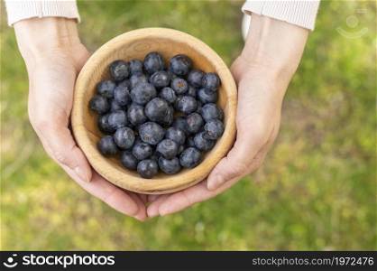 top view woman holding bowl with blueberries. High resolution photo. top view woman holding bowl with blueberries. High quality photo