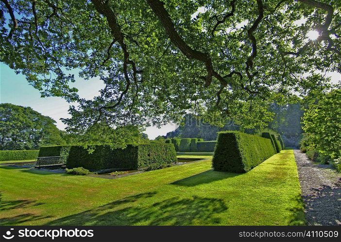 Topiary hedges in Lisbon park, Portugal
