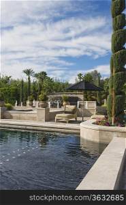 Topiary in garden with poolside sunlounger Palm Springs