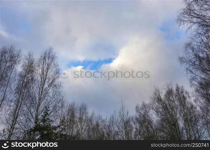 Tops of trees and a beautiful cloudy sky with a blue skylight on an autumn day.