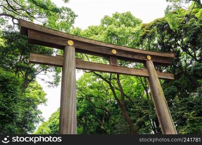 Torii  Entrance gate  and tree in temple area ,Japan