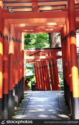 Torii gate