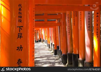 Torii gates at Inari shrine in Kyoto. Torii Gates at the Fushimi Inari Taisha Shrine in Kyoto, Japan