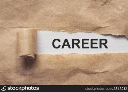 Torn brown paper on white background the text career