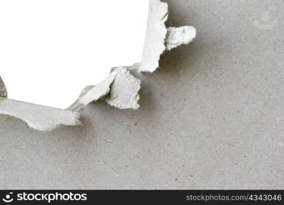 torn hole in sheet of paper with white background and copyspace