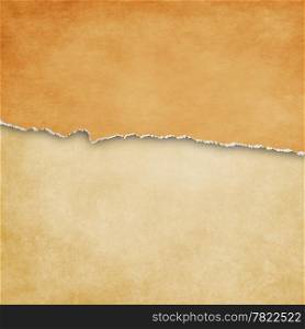 Torn paper background