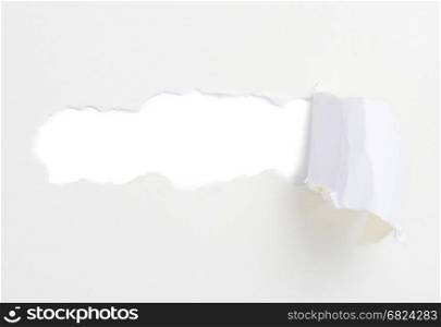 Torn paper banner, isolated on white